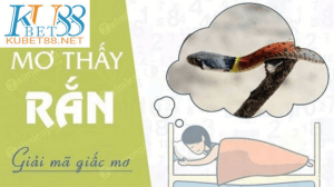 Mơ thấy rắn đánh con gì