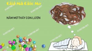 mo-thay-luon-danh-con-gi-giai-ma-giac-mo-thay-luon