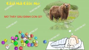 mo-thay-gau-danh-con-gi-giac-mo-thay-gau