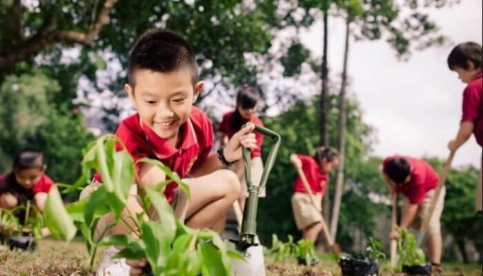 Chiêm bao thấy ai đó trồng cây