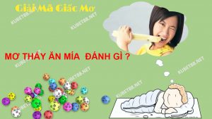 nam-ngu-mo-thay-an-mia-danh-con-gi