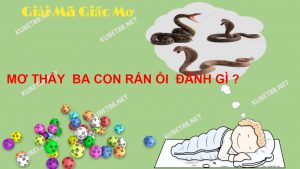 mo-thay-3-con-ran-danh-con-lo-gi