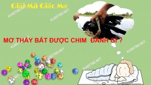 mo-thay-bat-duoc-chim-danh-gi