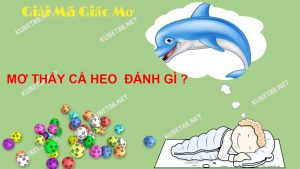 nam-ngu-mo-thay-ca-heo-danh-con-gi