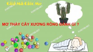 mo-thay-xuong-rong-danh-con-lo-gi