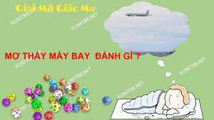 mo-thay-may-bay-danh-con-lo-gi