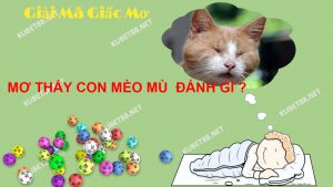 Mơ thấy mèo bị mù đánh con lô gì?