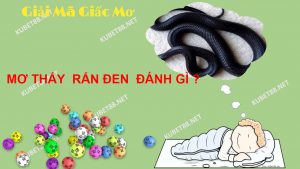 mo-thay-ran-den-danh-con-lo-gi