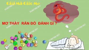 mo-thay-ran-do-danh-con-lo-gi