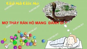 mo-thay-ran-ho-mang-danh-con-gi