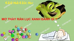 mo-thay-ran-luc-xanh-danh-con-lo-gi