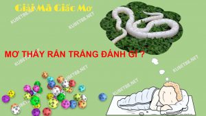 mo-thay-ran-trang-danh-con-lo-gi