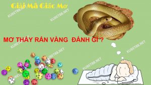 mo-thay-ran-vang-danh-con-lo-gi