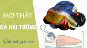 nam-mo-thay-ca-hai-tuong