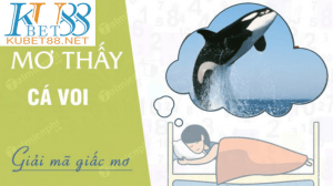 nằm mơ thấy cá voi
