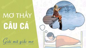 nam-mo-thay-cau-ca
