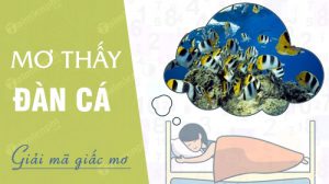 nam-mo-thay-dan-ca