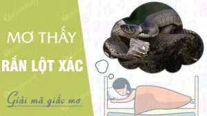 nam-mo-thay-ran-lot-xac