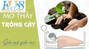 nằm mơ thấy trồng cây
