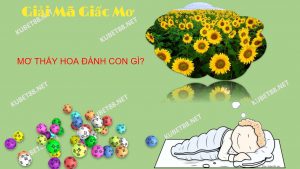 nam-ngu-mo-thay-hoa-danh-con-gi