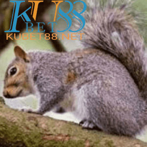95814112_523871521642035_2343224381628481536_n