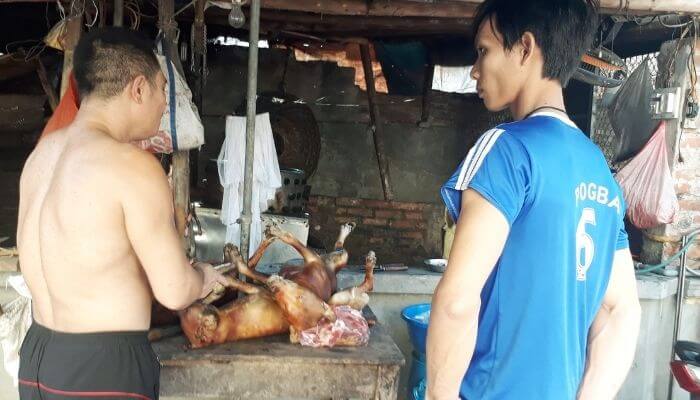 Mộng thấy hàng xóm mổ chó ăn