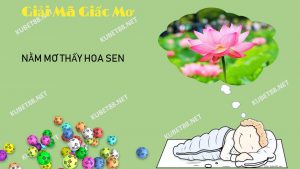 nam-mo-thay-hoa-sen-he-lo-bi-mat-gi-danh-lo-de-con-nao