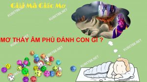 nam-mo-thay-am-phu-diem-du-hay-lanh-danh-de-con-gi