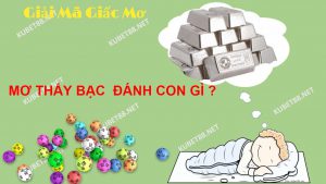 nam-mo-thay-bac-la-diem-gi-danh-con-gi