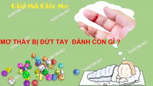 nam-mo-thay-dut-tay-diem-lanh-hay-du-danh-con-gi