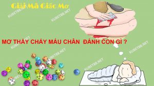 nam-mo-thay-chay-mau-chan-diem-bao-gi-va-con-so-nen-danh