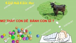 nam-mo-thay-de-danh-con-gi-con-so-nao-may-man