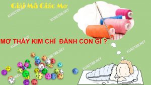 nam-mo-thay-kim-chi-la-diem-bao-gi-danh-con-gi