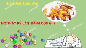 nam-mo-thay-ky-lan-diem-lanh-hay-du-danh-lo-de-con-gi