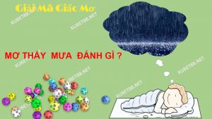 nam-mo-thay-mua-la-diem-gi-danh-con-gi