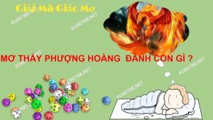 nam-mo-thay-phuong-hoang-va-y-nghia-cac-con-so