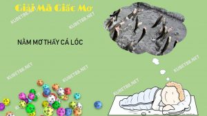 giai-ma-giac-mo-thay-ca-loc-diem-bao-danh-so-nao