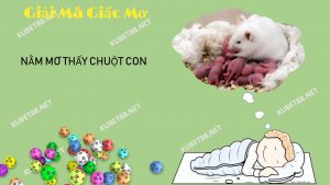 nam-mo-thay-chuot-con-danh-con-gi-va-diem-bao-gi