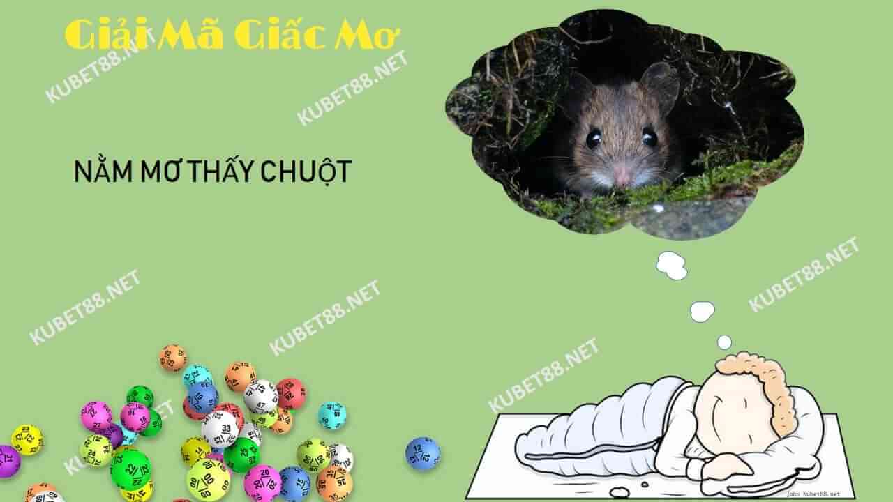 nam-mo-thay-chuot-danh-con-gi-va-diem-bao-gi