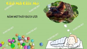 nam-mo-thay-duoi-uoi-danh-con-gi-va-diem-bao-gi