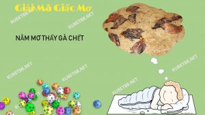 NAM MO THAY GA CHET