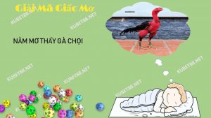 nam-mo-thay-ga-choi-danh-con-gi-va-diem-bao-gi