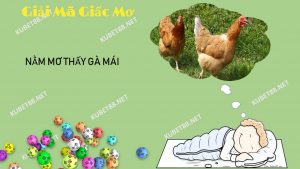 nam-mo-thay-ga-mai-danh-con-gi-va-diem-bao-gi