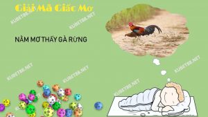 nam-mo-thay-ga-rung-danh-con-gi-va-diem-bao-gi