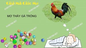 nam-mo-thay-ga-trong-co-y-nghia-gi-danh-con-gi-phat-tai