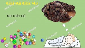 nam-mo-thay-go-danh-con-lo-gi