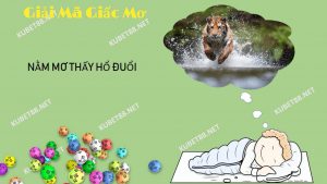 nam-mo-thay-ho-duoi-danh-con-gi-va-diem-bao-gi-danh-con-so-may