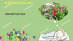 tiet-lo-bi-mat-nam-mo-thay-hoa-va-con-so-may-man