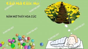 nam-mo-thay-hoa-cuc-co-y-nghia-gi-danh-con-so-nao-phat-tai