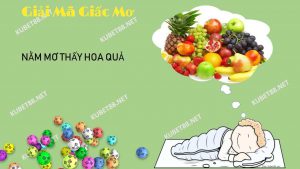 nam-mo-thay-hoa-qua-danh-con-gi-diem-hen-hay-xui